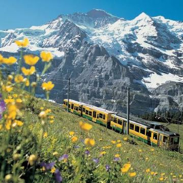 瑞士苏黎世+卢塞恩+因特拉肯+日内瓦9日7晚私家团