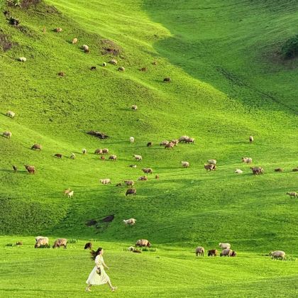 赤峰+木兰围场+乌兰布统旅游区+锡林郭勒盟5日4晚私家团