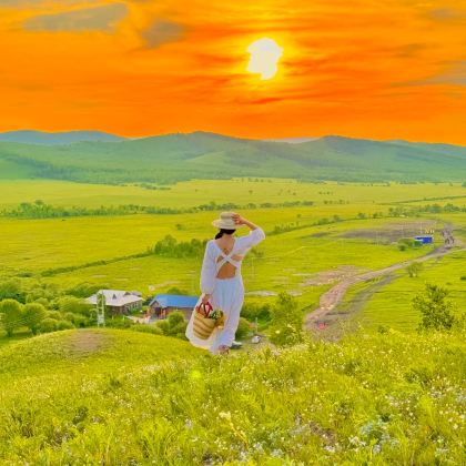 哈尔滨+伊春+五大连池风景区+漠河+齐齐哈尔+抚远+珍宝岛14日13晚跟团游