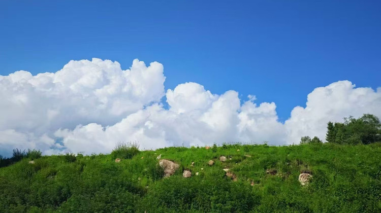 新疆乌鲁木齐+北疆10日9晚私家团·【独库喀伊】4钻天花板&市场独一份&Vlog航旅拍+赛湖VIP环湖+伊昭公路；乌伦古湖/喀纳斯/禾木/魔鬼城/赛里木湖/那拉提/五彩滩r/喀拉峻+赠送赛湖旅拍+禾木下午茶