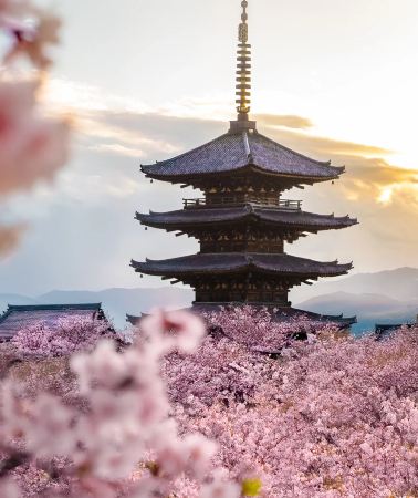 7天6晚 • 日本大阪·京都·奈良·東京·富士山「經典名勝巡禮 伏見稻荷·祇園·神鹿公園·御殿場奧特萊斯全遊覽」京阪奈古都風情＋東京富士勝景