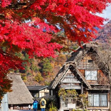 日本名古屋+飞弹高地+下吕温泉5日4晚私家团