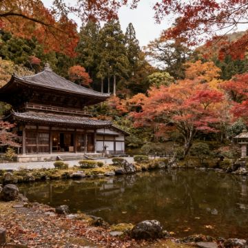 日本东京+伊豆6日5晚私家团