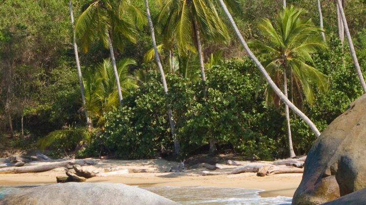 8-Day Caribbean Colombia Express Tour from Cartagena to Santa Marta · Minca, Tayrona National Park, Taganga