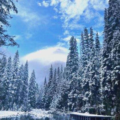 平武报恩寺+天母湖观景台+王朗国家级自然保护区+扒昔加古寨2日1晚私家团