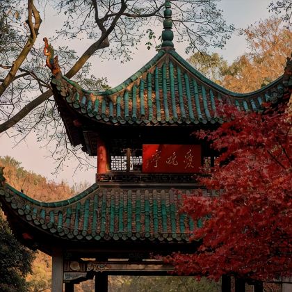 长沙+韶山+岳麓书院+橘子洲景区3日2晚跟团游