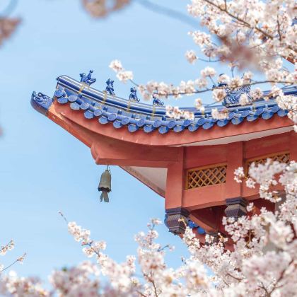 北京3日2晚跟团游