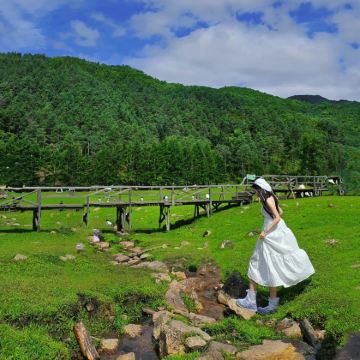 哈尔滨+漠河北极村6日5晚私家团