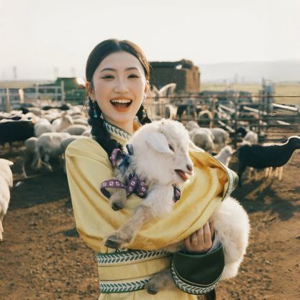 呼和浩特+辉腾锡勒草原+乌兰哈达火山地质公园+响沙湾+敕勒川草原5日4晚拼小团