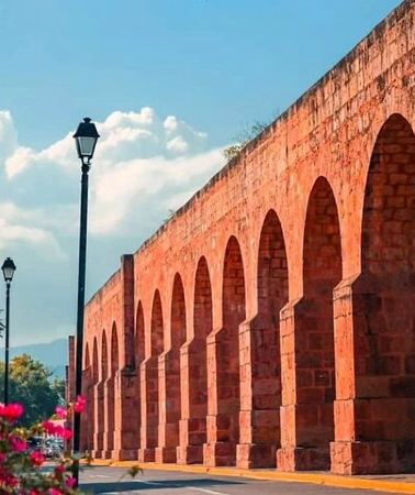 3D2N • 3 day Tour to Discover the Magic of Mexico & Monarch Butterflies