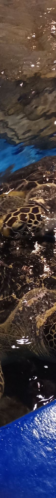 海趣花都海洋世界-昆明