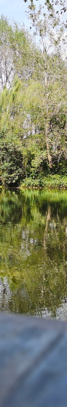 溱湖国家湿地公园-泰州