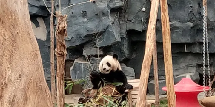 五龍山野生動物王國