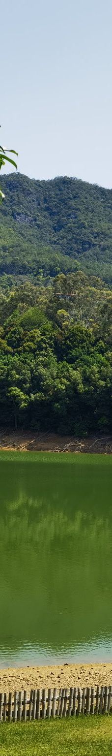 雁南飞茶田景区-梅州