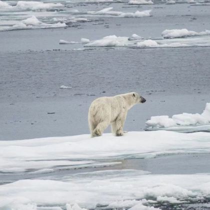 挪威奥斯陆+斯瓦尔巴朗伊尔城15日跟团游