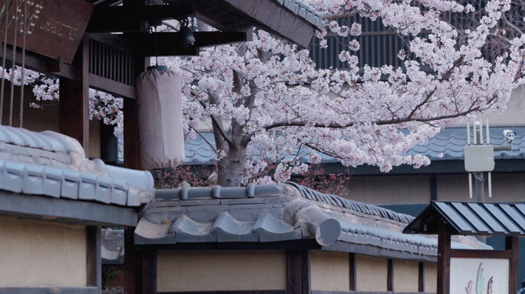 无锡到苏州一日往返包车攻略：双城园林精华游