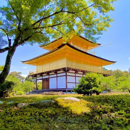 日本大阪+京都+奈良市6日5晚私家团