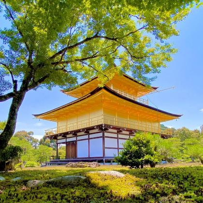 日本大阪+京都+奈良6日5晚私家团