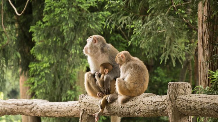 3D2N · Group Tours · Ask & Save · Zhangjiajie Deep Dive: 2-Day Forest Park + Tianmen Mountain + Glass Bridge·5-diamond hotels throughout. Complimentary e-SIM.