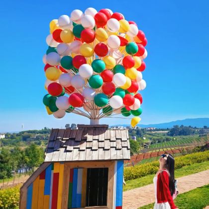 红河+抚仙湖+东川红土地+弥勒+昆明9日8晚拼小团