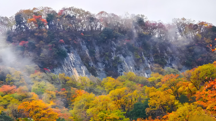 成都5天自由行，峨眉山温泉酒店+门票+观光车+索道全攻略
