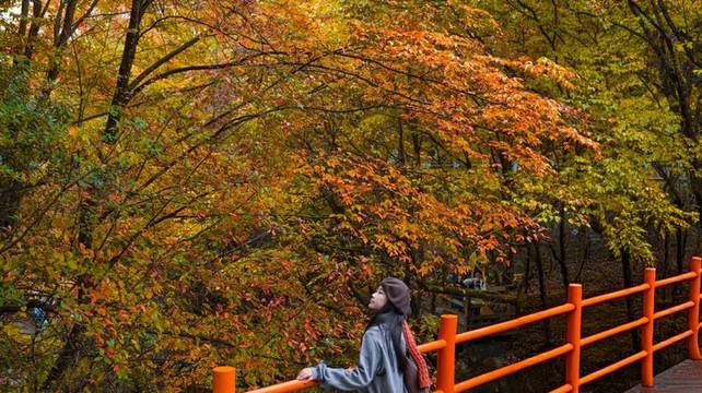 九寨沟靠谱旅行社怎么选？2025年五强口碑榜单出炉