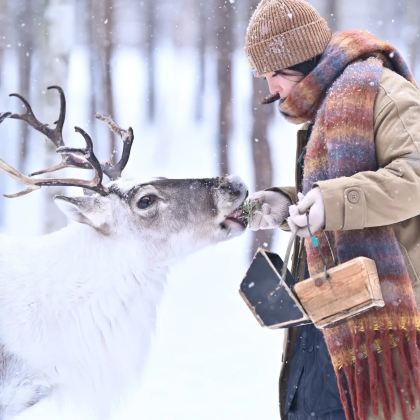 赤峰+乌兰布统草原+坝上+玉龙沙湖+木兰围场5日4晚跟团游