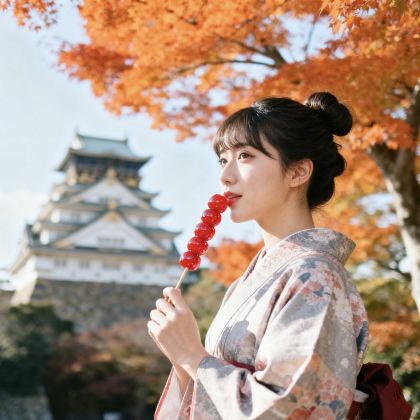 日本大阪+白滨町+高野山+和歌山市6日5晚私家团