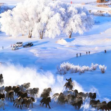 承德+乌兰布统旅游区+坝上+崇礼区6日5晚私家团