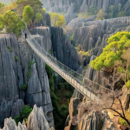 马达加斯加8日7晚拼小团