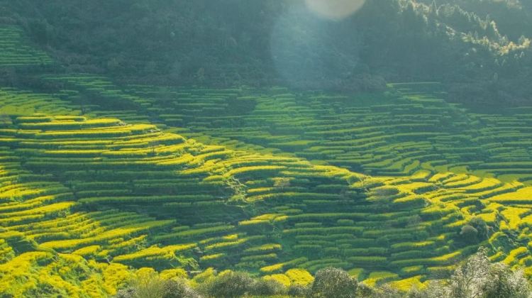 4-day 3-night · Private Tour · JiangxiVagoo Scenic Area + Mount Sanqing + Jingdezhen + Wuyuan Huangling