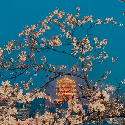 武汉3日2晚私家团