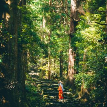 日本和歌山市+熊野古道4日2晚私家团