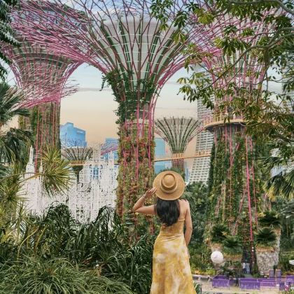 新加坡+吉隆坡+马六甲5日4晚私家团