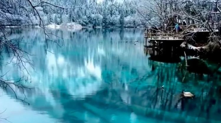 4-Day 3 nights' Hilton or Equivalent Luxury Hotel - 2 days Deep Exploration of Jiuzhaigou - Huanglong - Fully Covered Itinerary: Park Tickets & All Shuttle & In-Scenery Transit