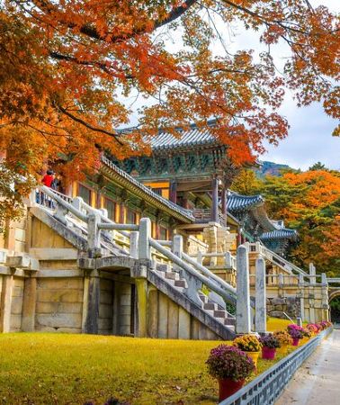 7D6N • Discover Round Korea in 7days: All-Inclusive Experience