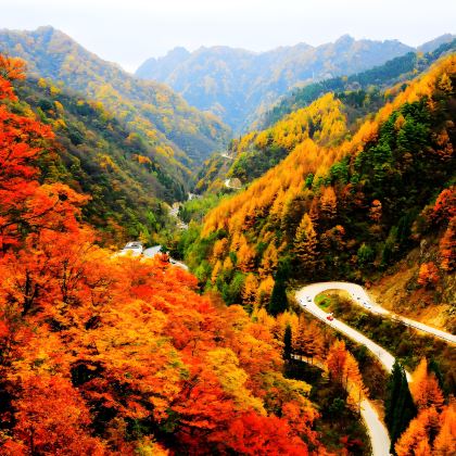 太白山公园+高江路+光雾山旅游景区+黄柏塬7日6晚私家团