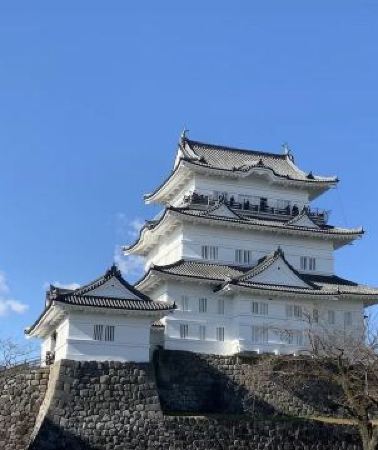 6日5晚 • 日本·東京+伊豆市+箱根6天團 · 賞景溫泉之旅 小田原城(包登上天守閣、欣賞春日花海)、《你的名字》抹茶山~