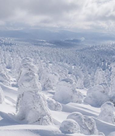 2D1N • Zao 2-Day: Snow Monsters, Ropeway & Yamadera Mountain Temple