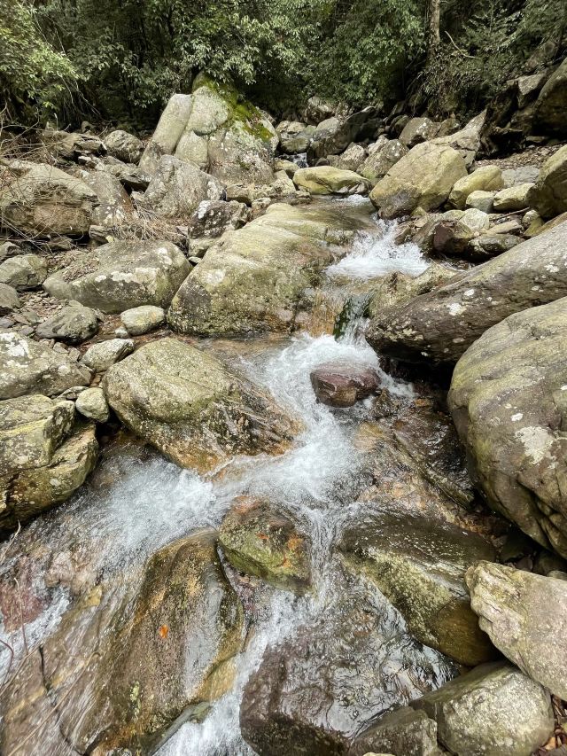屏山悬索玻璃桥旅行图片 2