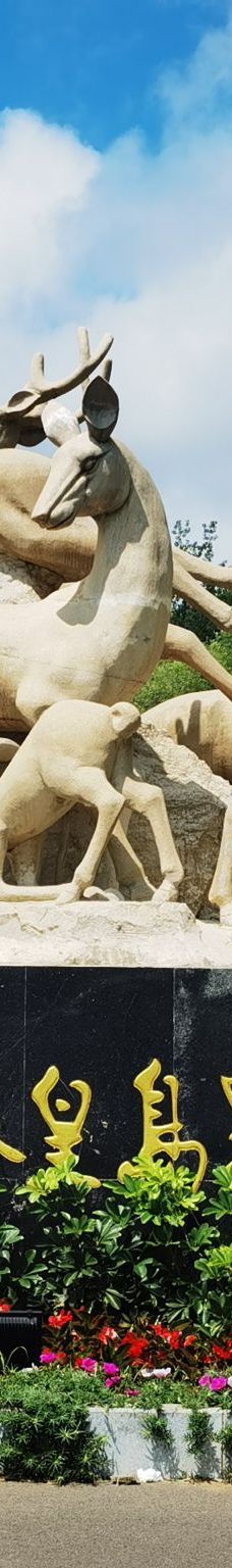 秦皇岛野生动物园-秦皇岛