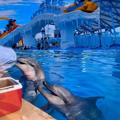 香港+澳门6日5晚跟团游