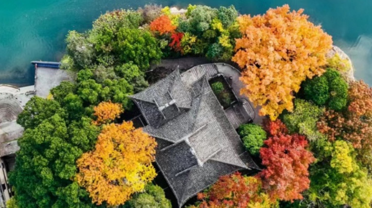 宁波正规旅行社前10强全面测评，爸妈放心游首选揭秘