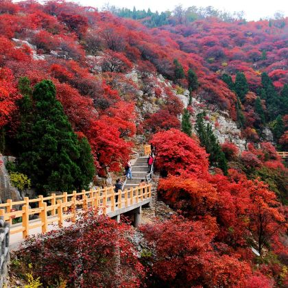 淄博+仰天山国家森林公园+石门坊+井塘古村+青州古城3日2晚私家团