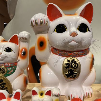 日本名古屋+下吕市+飞驒高山+金泽7日6晚跟团游