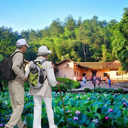 长沙+韶山+岳麓书院+橘子洲景区3日2晚私家团