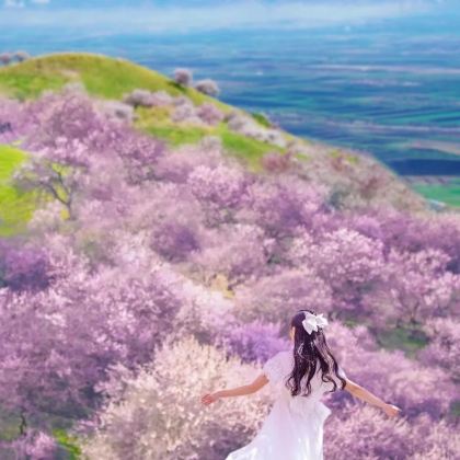 新疆乌鲁木齐+北疆7日6晚私家团