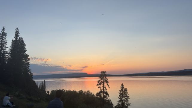 5-Day Yellowstone Tour from Salt Lake City·Great Salt Lake, The Grand Prismatic Hot Spring, Old Faithful Geyser | Max 14 Pax