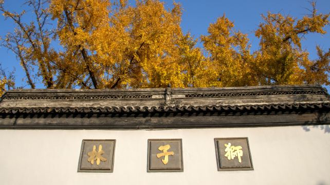 5-Day China Jiangnan Cultural Private Tour from Suzhou to Hangzhou· Hanshan Temple, Shantang Street, Lion Grove Garden, West Lake and Lingyin Temple
