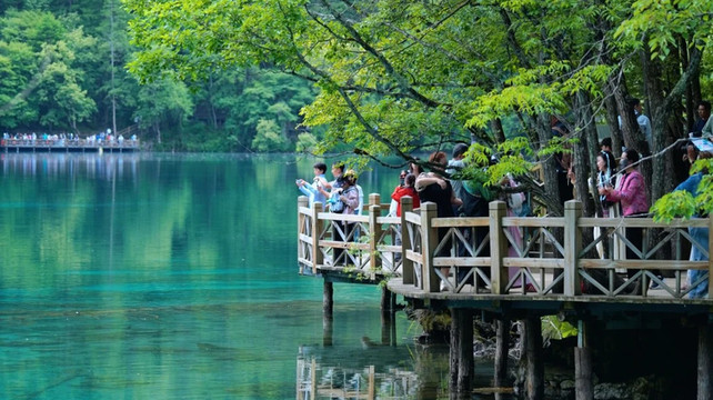 九寨沟自由行攻略：省钱省心玩转仙境